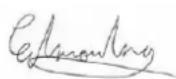 CONTINENTAL EDISON CECTG4BD - REFERENCES DES NORMES HARMONISEES APPLIQUEES : - 1