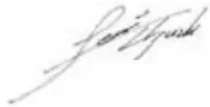 PARKSIDE PDTS 6.3 B3 - Translation of the original Conformity Declaration - 1