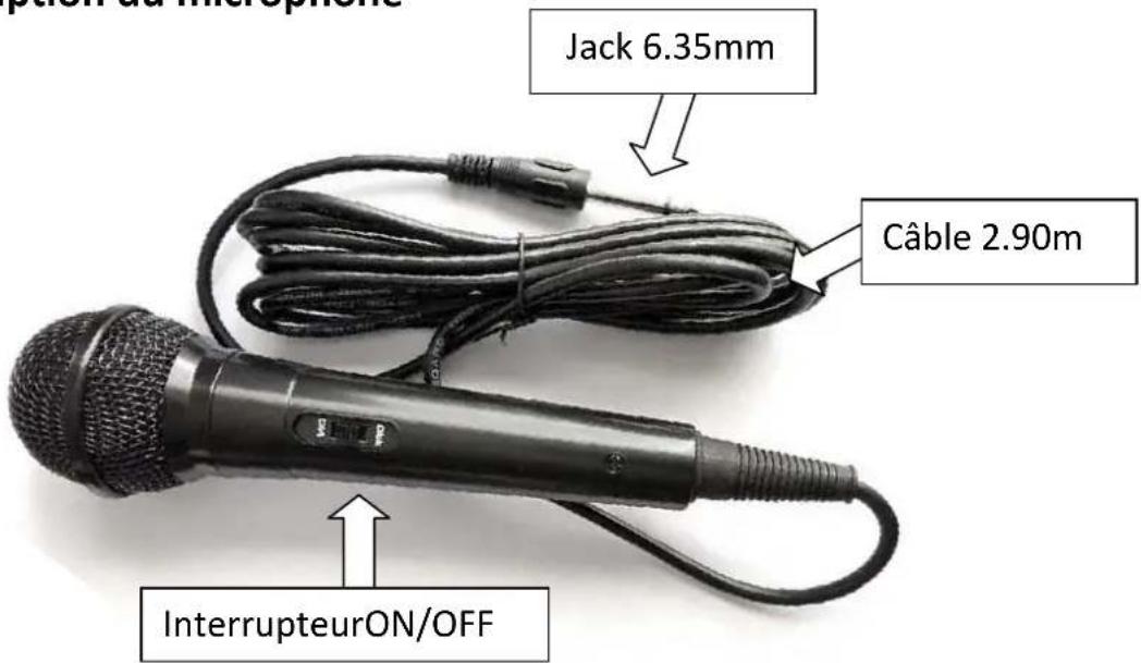 CONTINENTAL EDISON CELED53HP20V2B4 - Description du microphone - 1