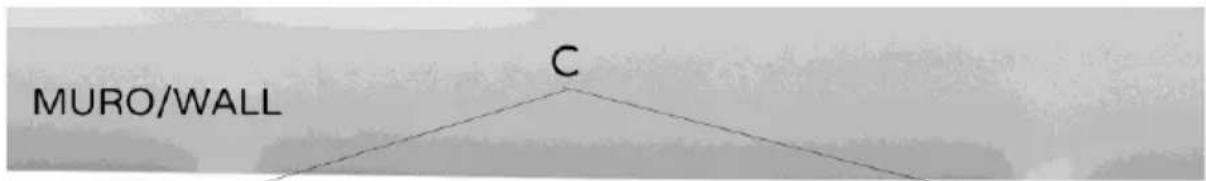 Bimar HC506 - Wall-mounting (see relevant images) - 4