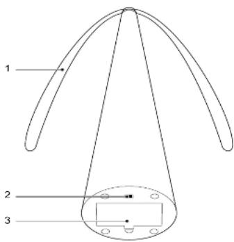OLYMPIA FW 223 - H - 1