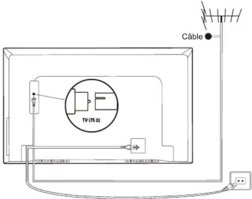 TCL U65X9006 - Remarques : - 1