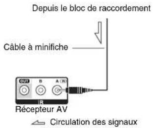 TASCAM PAR200 - Utilisation d'un kit multi-pieces avec la Zone 2/3 - 2