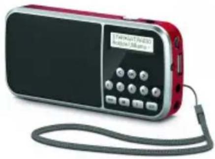 TECHNISAT TechniRadio RDR - Instrukcja obsługi - 1