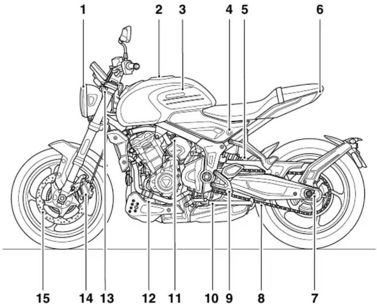 TRIUMPH Tiger Sport 660 (2021) - Trident - 1