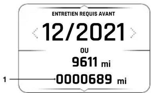 TRIUMPH Tiger Sport 660 (2021) - Totalisateur - 1