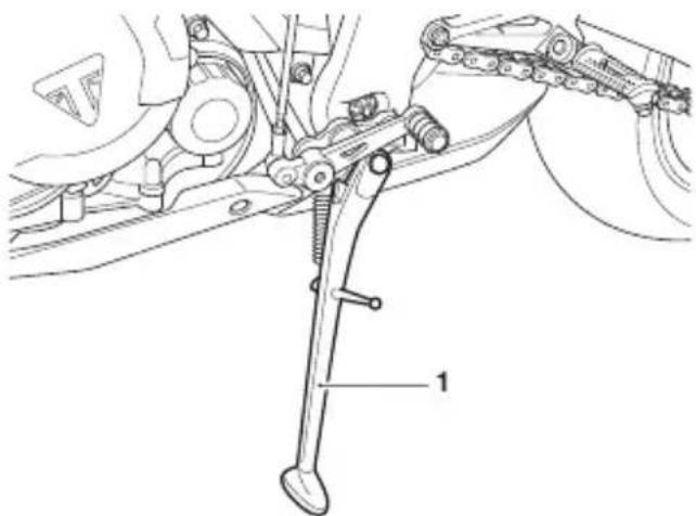TRIUMPH Speed Triple 1200 RR (2021) - Avertissement - 1