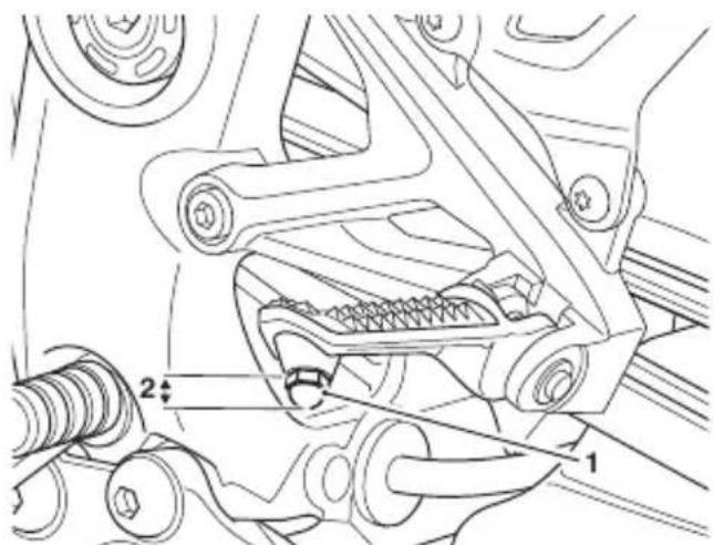 TRIUMPH Speed Triple 1200 RR (2021) - Avertissement - 1