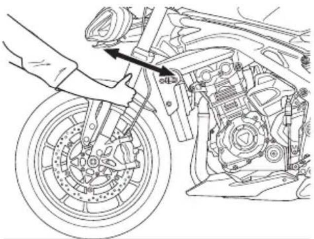 TRIUMPH Speed Triple 1200 RR (2021) - Note - 1