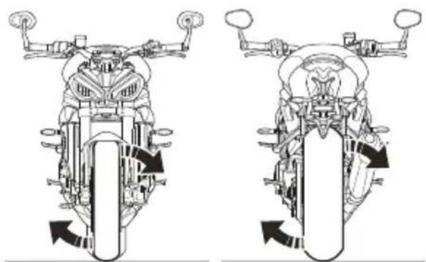 TRIUMPH Speed Triple 1200 RR (2021) - Avertissement - 1