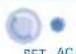 PANASONIC S56MA1E5 - AJUSTES - OPCIONALES - 4