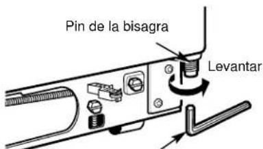 Pin de la bisagra Levantar