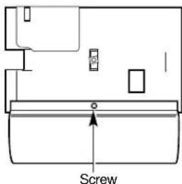 Screw