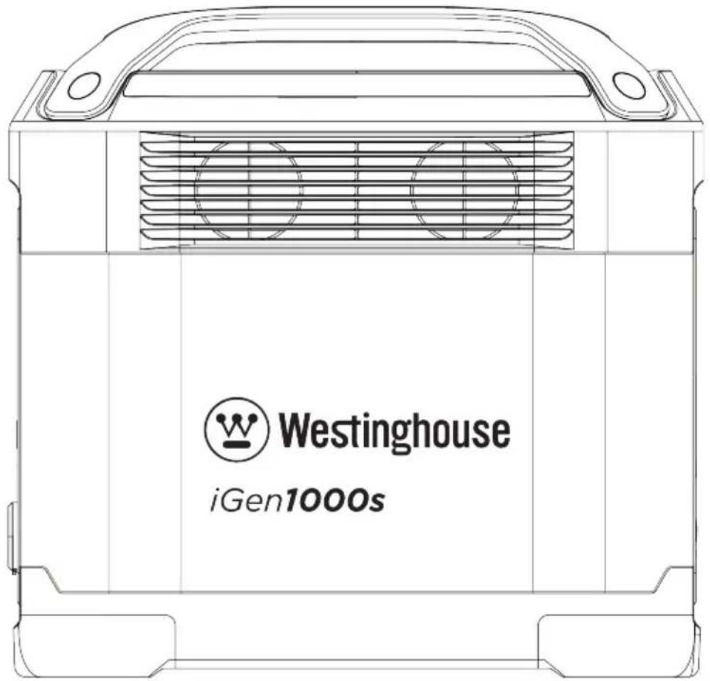 WESTINGHOUSE iGen1000s - ICONOS DE NOTIFICACIÓN - 19