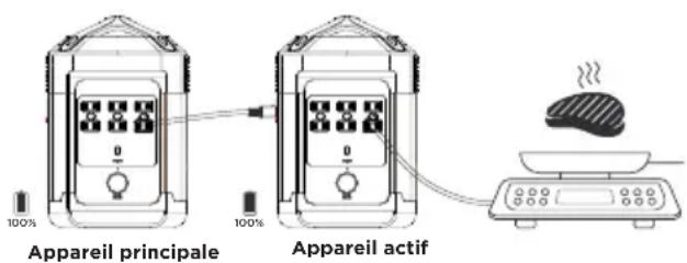 WESTINGHOUSE iGen1000s - FONCTIONNEMENT EN SÉRIE - 1