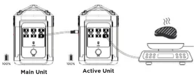 WESTINGHOUSE iGen1000s - SERIES OPERATION - 1