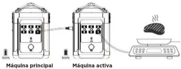 WESTINGHOUSE iGen1000s - OPERACIÓN EN SERIE - 1