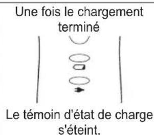 PANASONIC ERDGP74 - Déconnectez la fiche d'alimentation une fois la recharge terminée. - 3
