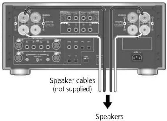 TECHNICS SUR1000 - Speakers/AC mains lead - 1