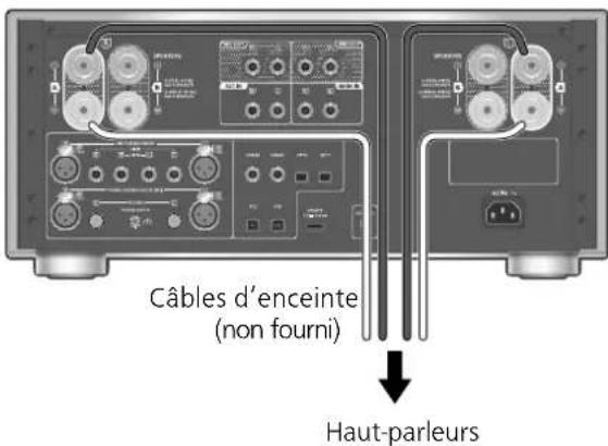 TECHNICS SUR1000 - Enceintes/cordon d'alimentation secteur - 1