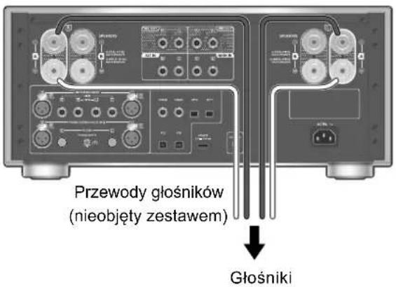 TECHNICS SUR1000 - Głośniki/przewód zasilania sieciowego - 1