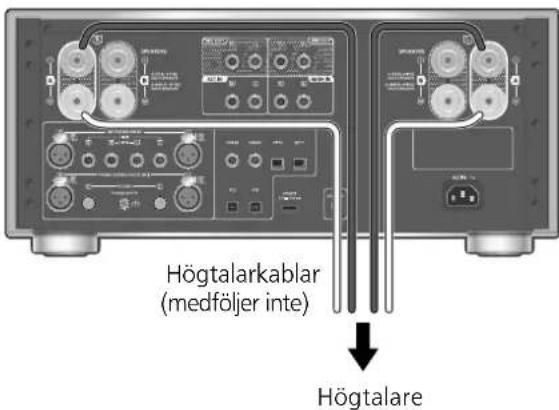 TECHNICS SUR1000 - Högtalaranslutning - 1