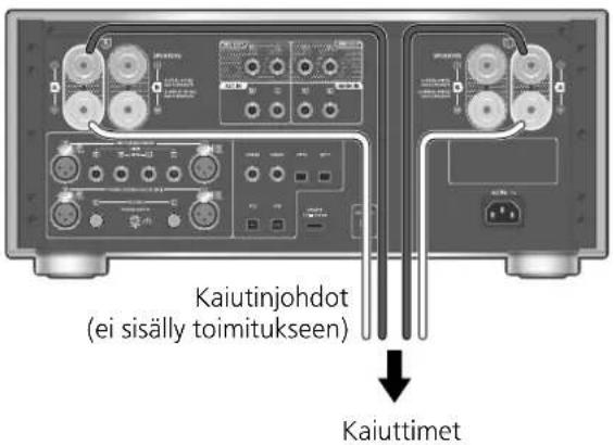 TECHNICS SUR1000 - Liitännät - 1