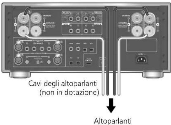 TECHNICS SUR1000 - Altoparlanti/cavo di alimentazione CA - 1