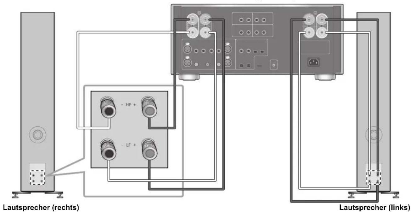 TECHNICS SBG90M2 - Bi-Wiring-Verbindung - 1