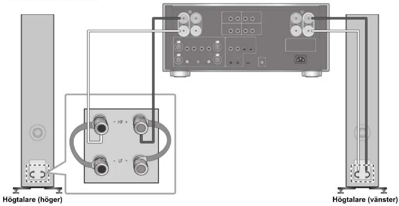 TECHNICS SBG90M2 - Anslutting med en kabel - 2