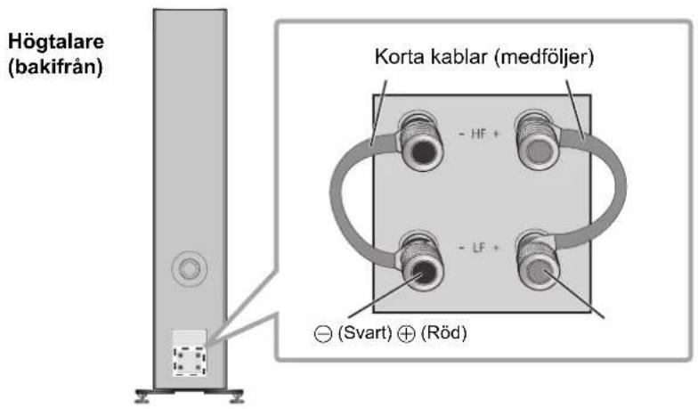 TECHNICS SBG90M2 - Anslutting med en kabel - 1