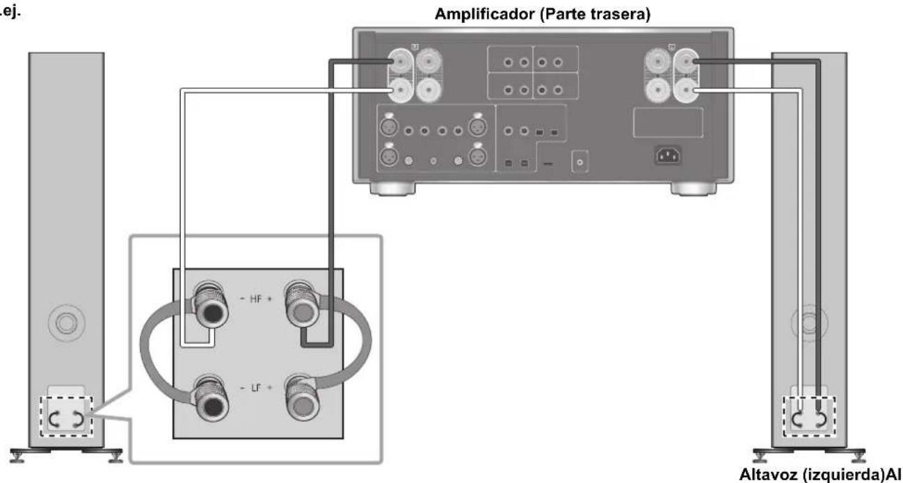 TECHNICS SBG90M2 - Conexión de un solo cableado - 2