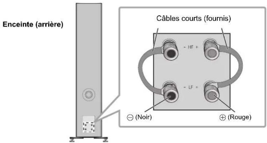 TECHNICS SBG90M2 - Branchement mono-câblage - 1