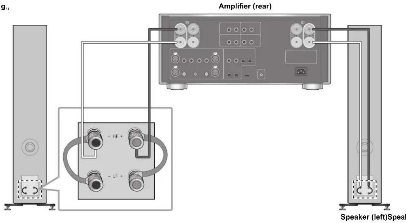 TECHNICS SBG90M2 - Single wiring connection - 2