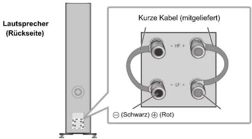 TECHNICS SBG90M2 - Einfache Kabelverbindung - 1