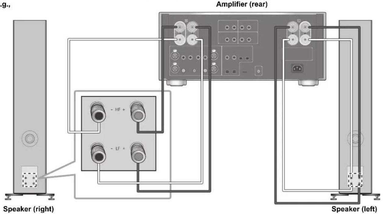 TECHNICS SBG90M2 - Bi-wiring connection - 1
