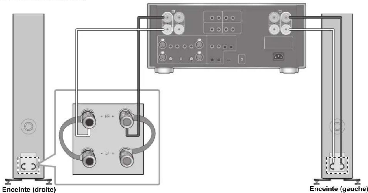 TECHNICS SBG90M2 - Branchement mono-câblage - 2