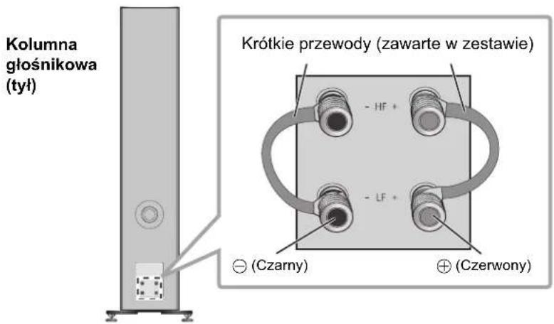 TECHNICS SBG90M2 - Połaczenia za pomocaj jederngo przywodu - 1