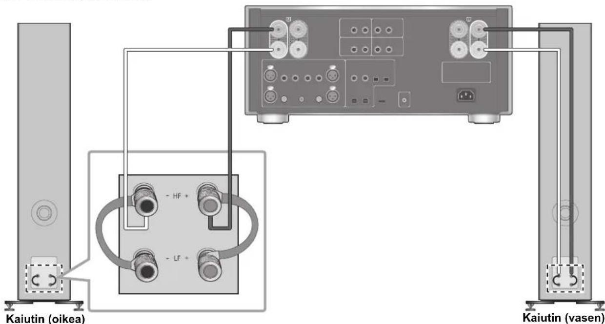 TECHNICS SBG90M2 - Yksijohtoinen liitanta - 2