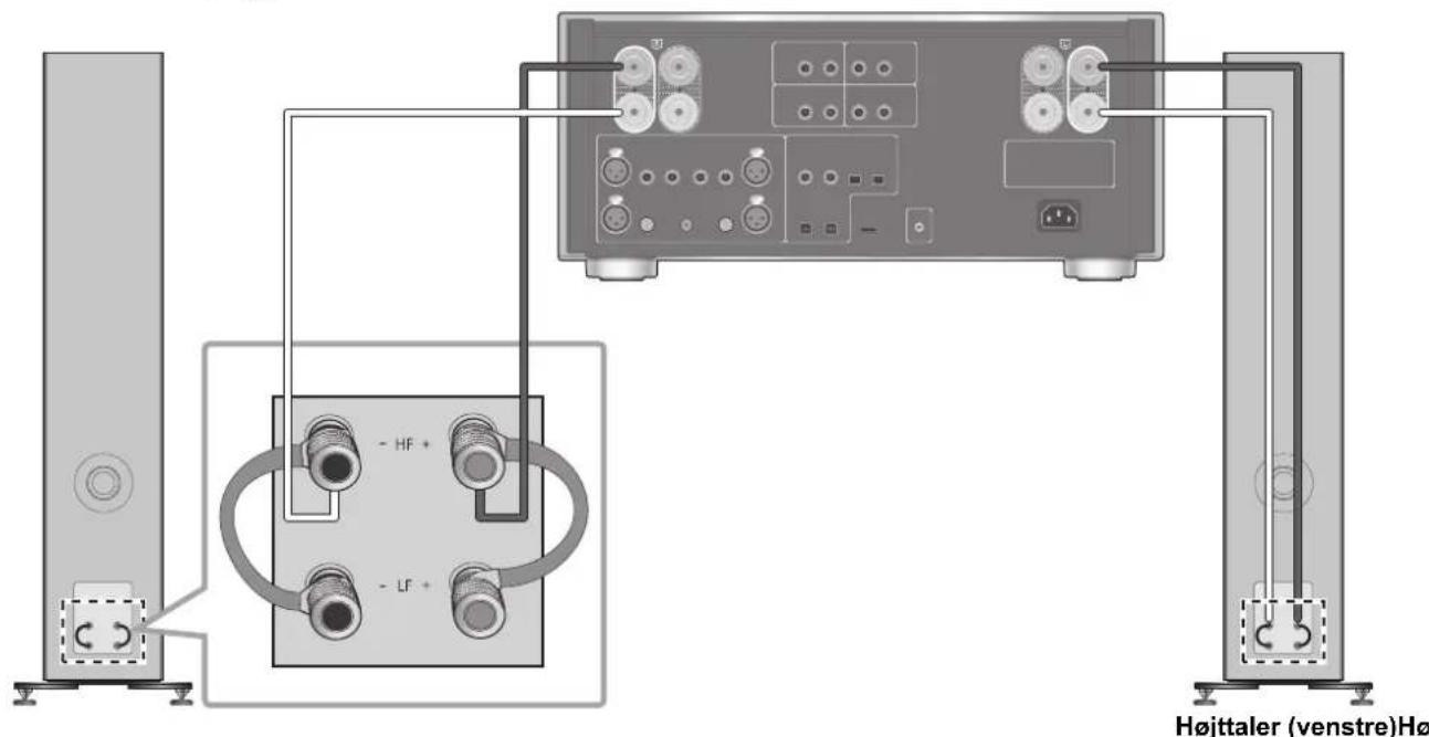 TECHNICS SBG90M2 - ■ Enkelt ledningsforbindelse - 2
