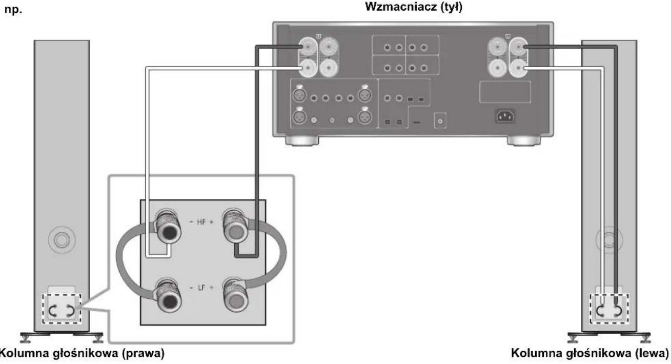 TECHNICS SBG90M2 - Połaczenia za pomocaj jederngo przywodu - 2