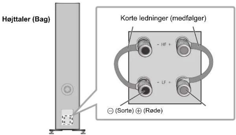 TECHNICS SBG90M2 - ■ Enkelt ledningsforbindelse - 1