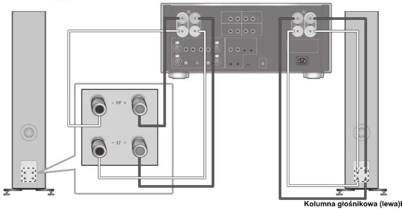 TECHNICS SBG90M2 - Połaczenia za pomocaj jederngo przywodu - 3