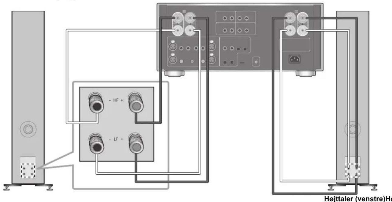 TECHNICS SBG90M2 - Dobbelt ledningsforbindelse - 1