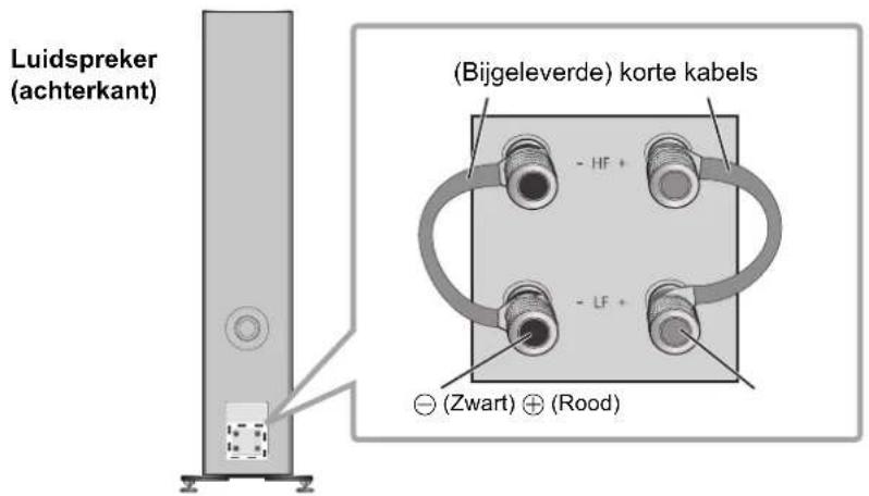 TECHNICS SBG90M2 - Verbinding met een draad - 1
