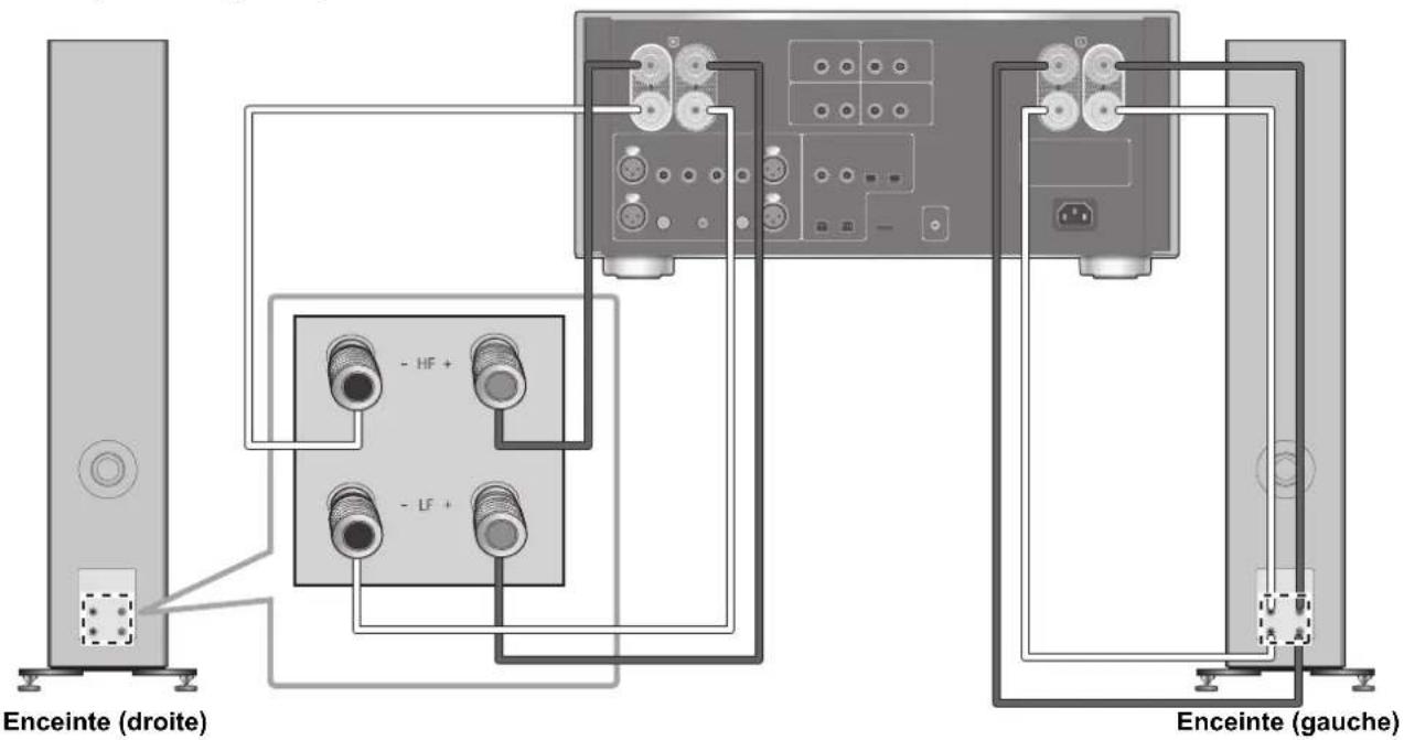 TECHNICS SBG90M2 - Branchement bi-câblage - 1