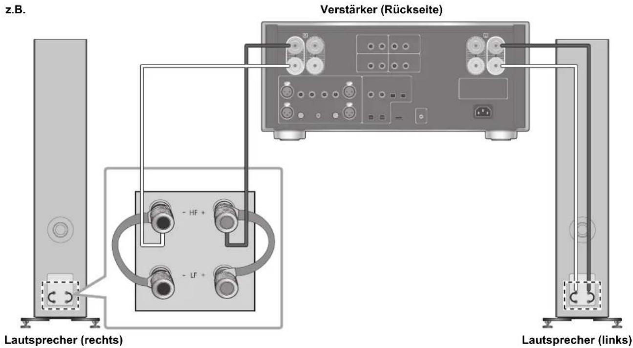 TECHNICS SBG90M2 - Einfache Kabelverbindung - 2
