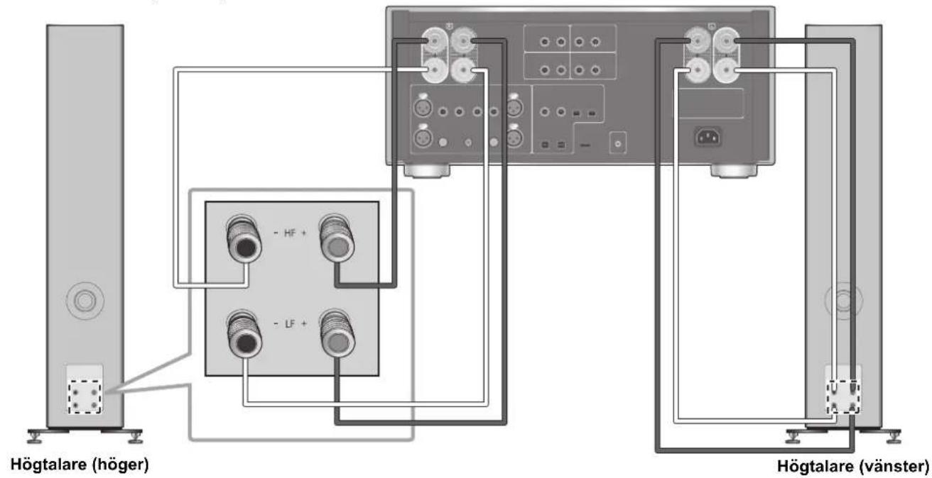 TECHNICS SBG90M2 - ■ Anslutining med två kablar - 1