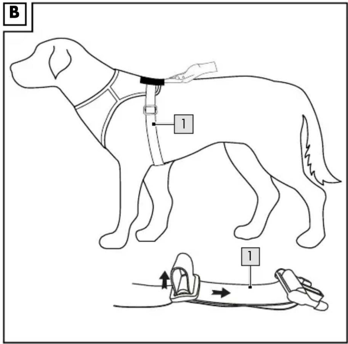 ZOOFARI HG04974A - Posicionamento correto do artigo (Fig. B) - 1