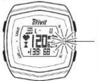 CRIVIT IAN 063733 - Témoin d'alerte - 1